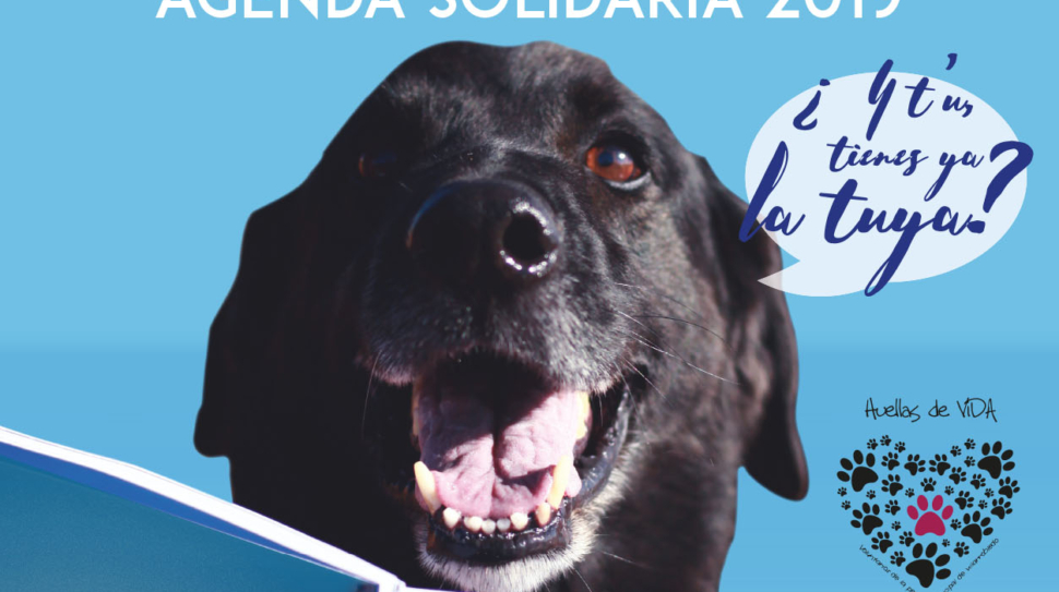 01_Carteles_HDV_redes.indd