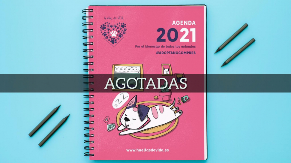 135457215_2936492839902955_5051636310828220896_o