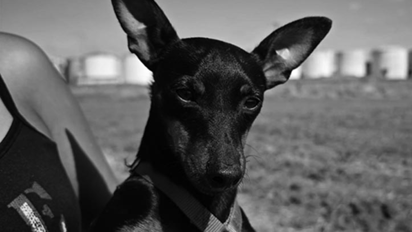 EROS
